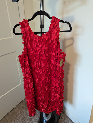 BCBG Red Shift Dress